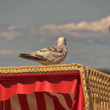 Ich schau�nicht hin!